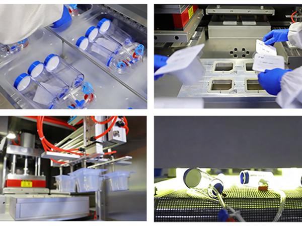 TOONE Biotechnology· Focused on Microbial Testing, Safeguarding Sterility and Safety